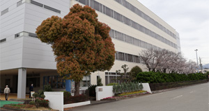 Business Locations