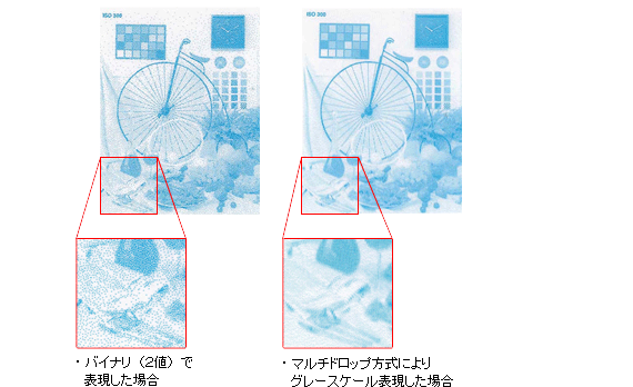 理想テクノロジーズのインクジェットヘッドによる豊かな階調表現と粒状感のない画像
